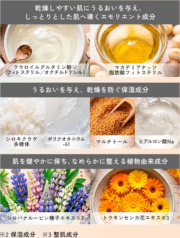 エモリエント成分、保湿成分、植物由来成分の一覧